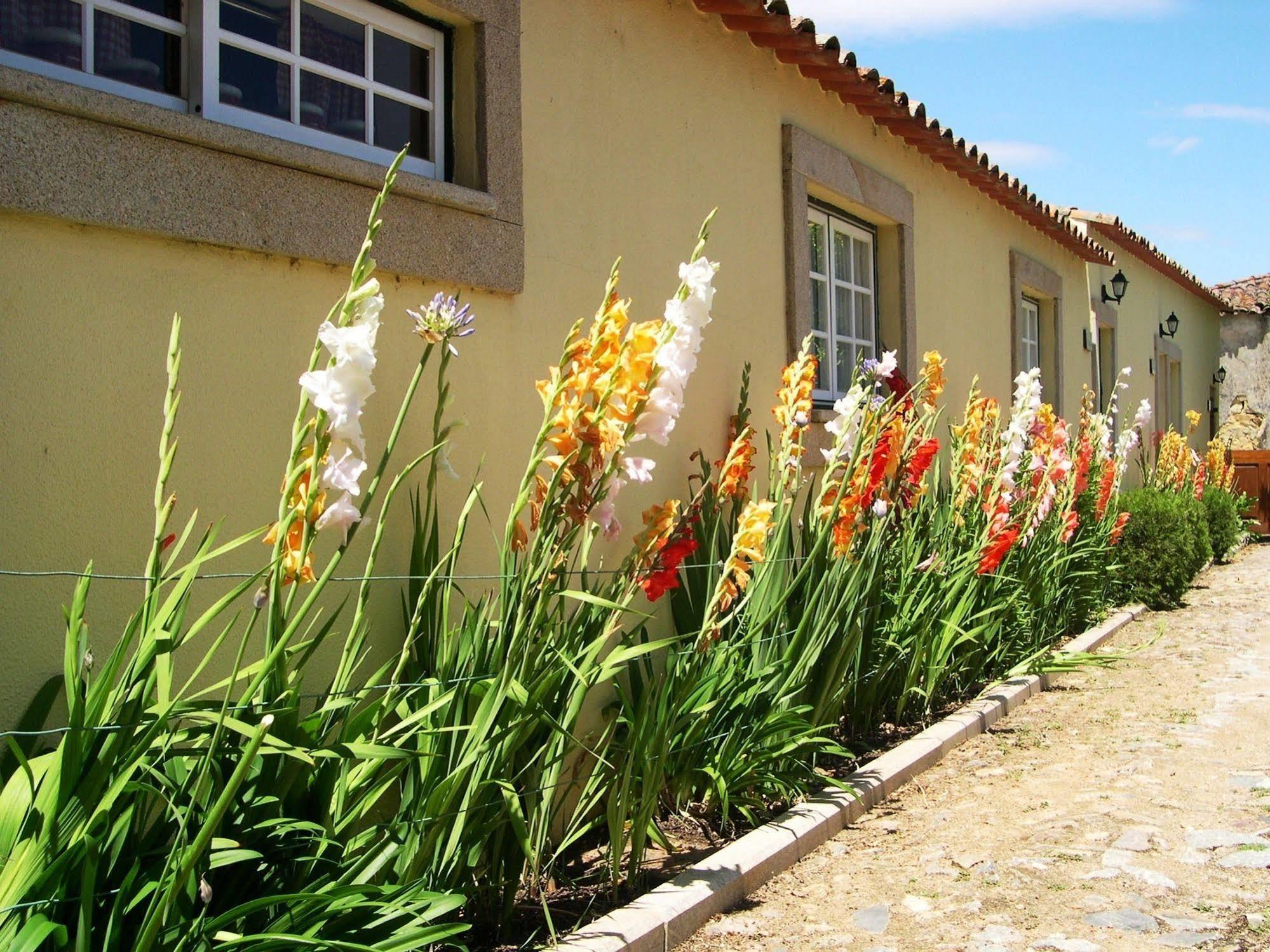 Hospedaria Do Convento D'Aguiar- Turismo De Habitacao Figueira de Castelo Rodrigo Exterior photo